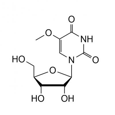 CAS  35542-01-9  5-Methoxy uridine