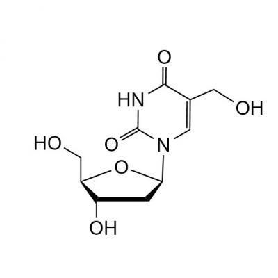 CAS  5116-24-5   5-Hydroxy methyl-2’-deoxy uridine