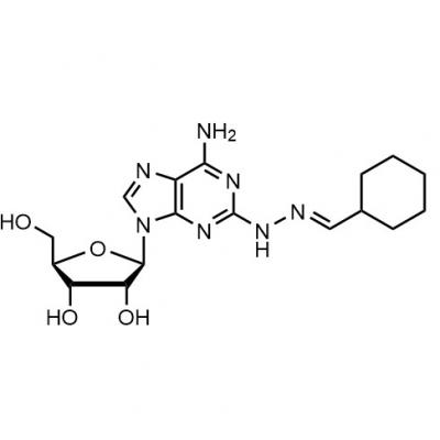  CAS  144348-08-3   2-(cyclohexylmethylidenehydrazino)adenosine	
