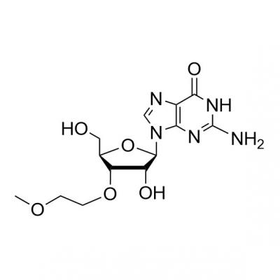 CAS   256224-03-0  3'-O-(2-Methoxyethyl)guanosine