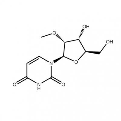 CAS    2140-76-3     	2'-O-Methyluridine