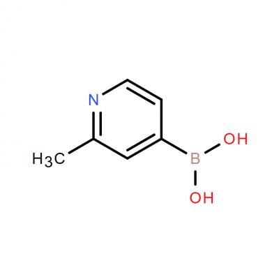 CAS       579476-63-4     2-Methylpyridine-4-boronic acid