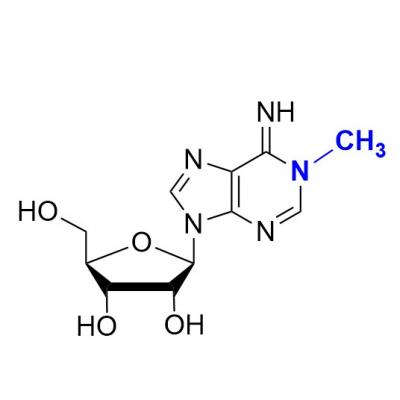 CAS    15763-06-1   1-METHYLADENOSINE