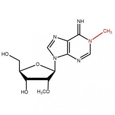  CAS   91101-00-7