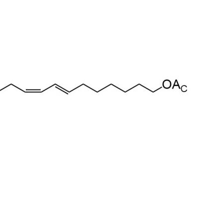CAS    55774-32-8