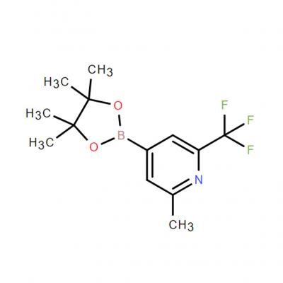 CAS  1321518-03-9   	2-(trifluoromethyl)-4-(4,4,5,5-tetramethyl-1,3,2-dioxaborolan-2-yl)-6-methylpyridine