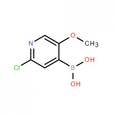 CAS   1072945-98-2    	2-Chloro-5-methoxypyridine-4-boronic acid