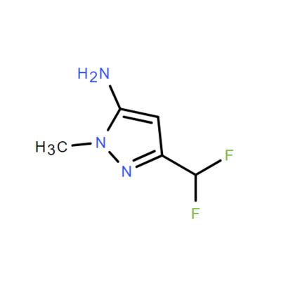 CAS  1245806-69-2     3-(Difluoromethyl)-1-methyl-1H-pyrazol-5-amine
