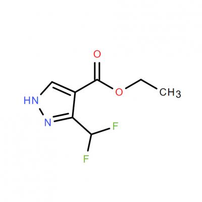 CAS    	151733-96-9    ETHYL 3-(DIFLUOROMETHYL)-1H-PYRAZOLE-4-CARBOXYLATE