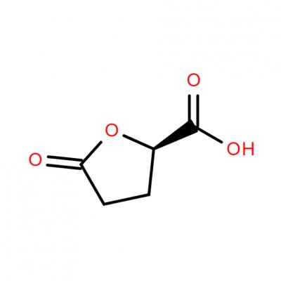 CAS     53558-93-3     (R)-(-)-5-OXOTETRAHYDROFURAN-2-CARBOXYLIC ACID