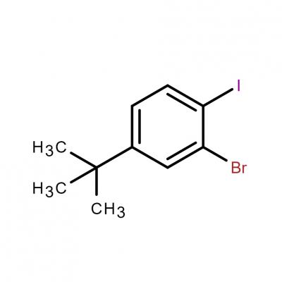 CAS     860435-39-8  	2-Bromo-4-tert-butyl-1-iodo-benzene