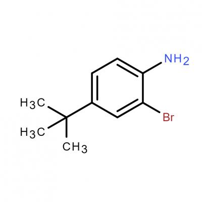 CAS    103273-01-4     2-Bromo-4-tert-butylaniline
