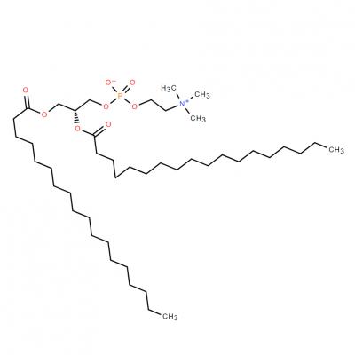 CAS     816-94-4