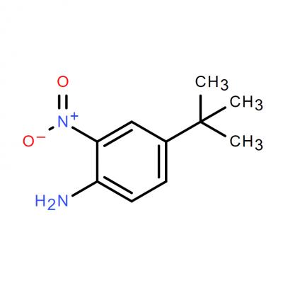 CAS         6310-19-6     4-(TERT-BUTYL)-2-NITROANILINE