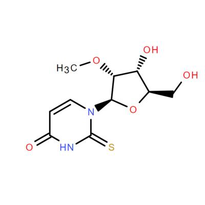 CAS   113886-72-9    2'-O-methyl-2-thiouridine