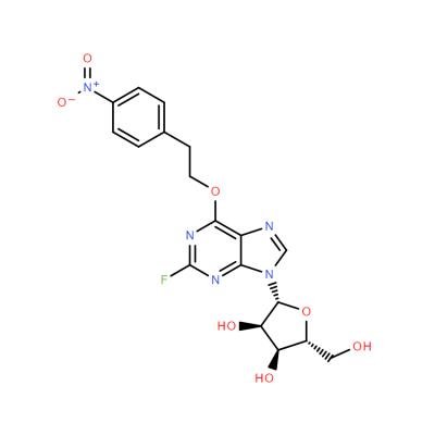 CAS    171284-49-4     2-Fluoro-6-O-[2-(4-nitrophenyl)ethyl]inosine