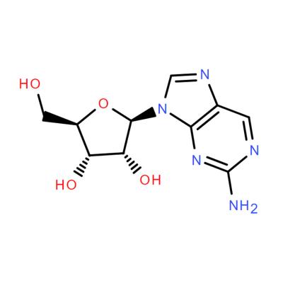 CAS   4546-54-7    2-Aminopurine riboside