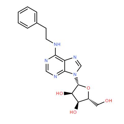 CAS    20125-39-7     N6-(2-PHENYLETHYL)ADENOSINE
