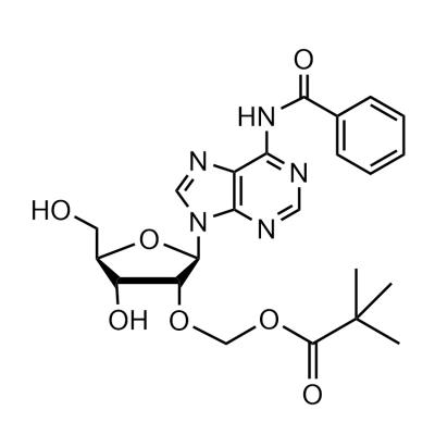 CAS    2842847-62-3