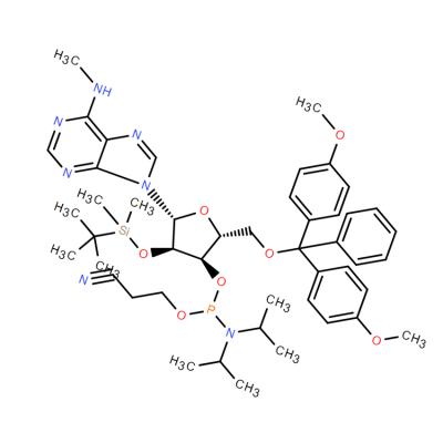CAS    588698-79-7    N6-Me-rA phosphoramidite