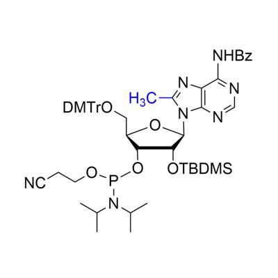 CAS    512172-15-5     N6-Benzoyl-5’-O-DMTr-2’-O-TBDMS-8-methyl adenosine 3’-CED phosphoramidite