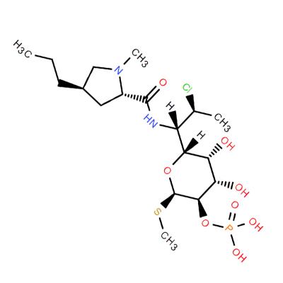 CAS    24729-96-2     Clindamycin phosphate